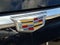 2020 Cadillac Escalade Platinum Edition