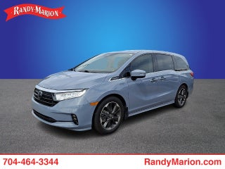 2024 Honda Odyssey Elite