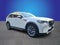 2024 Mazda Mazda CX-90 3.3 Turbo Premium Plus