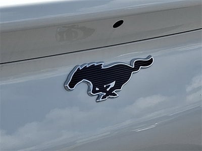 2024 Ford Mustang Mach-E Select